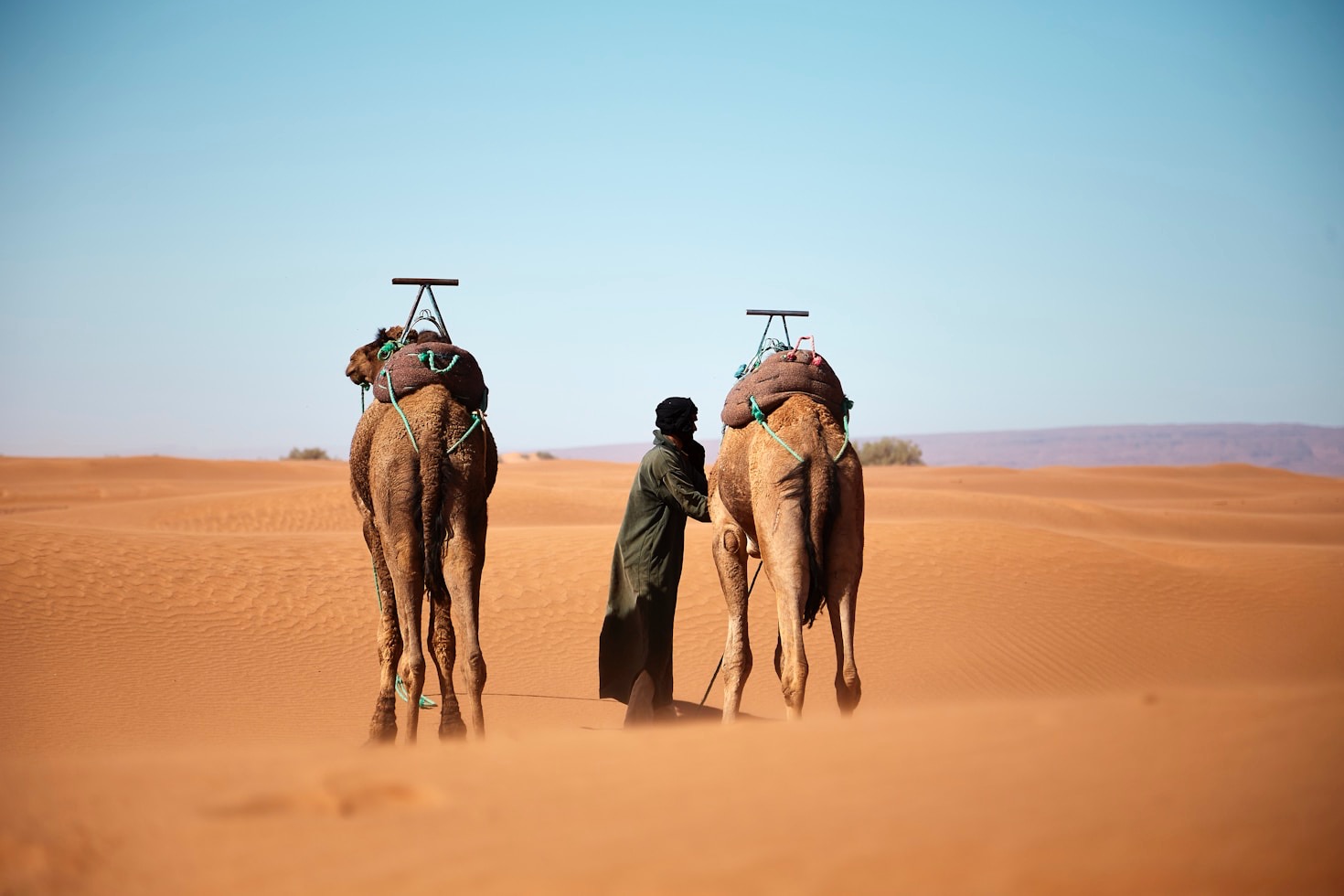 Exploring Local Culture While Working Remotely